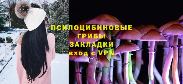 дмт Медвежьегорск
