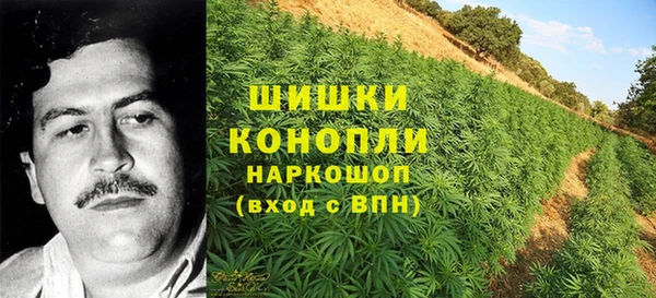 дмт Медвежьегорск