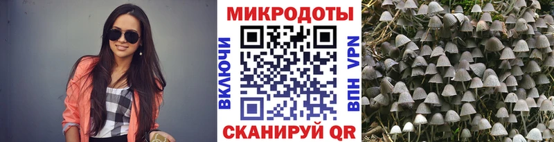 shop телеграм  Киселёвск  Псилоцибиновые грибы мицелий 